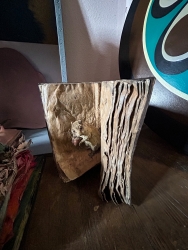 Eichhoernchenbuch.jpg