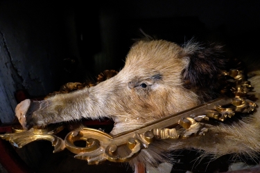 Wildschwein-Spiegel.jpg