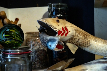 Fisch-Fisch.jpg