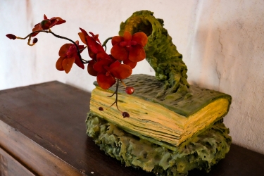 Vasenbuch.jpg