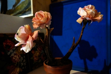 Geweihblumen.jpg