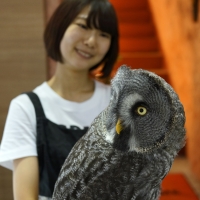 Owl restaurant.jpg