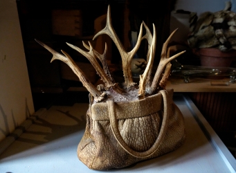 Gehoerntasche.jpg